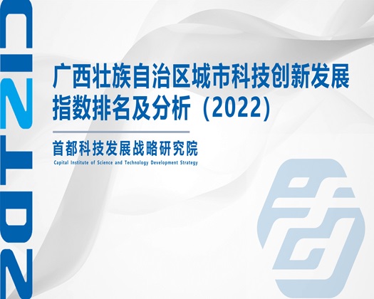 d粗jb操逼视频【成果发布】广西壮族自治区城市科技创新发展指数排名及分析（2022）